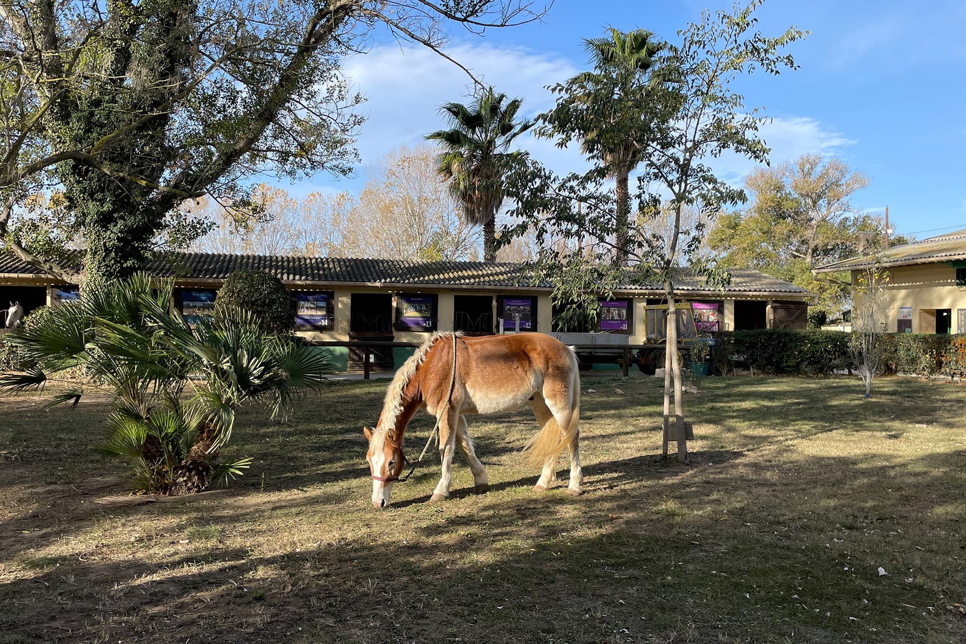 Centre équestre UCPA-UDSIS 